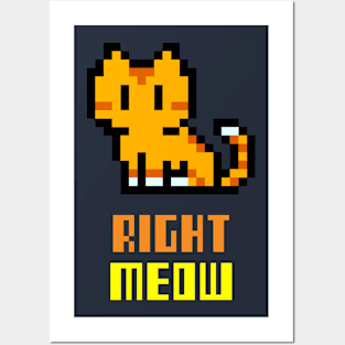 Right Meow Posters and Art